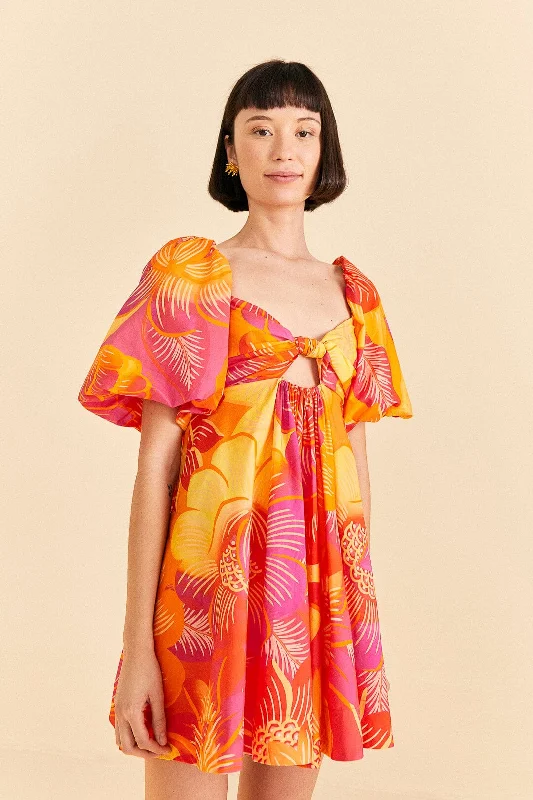 Affordable Women's Attire Exclusive Discount Summer Garden Ombre Mini Dress
